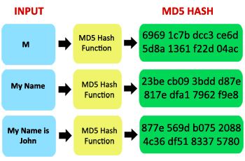 MD5 hash encrypt