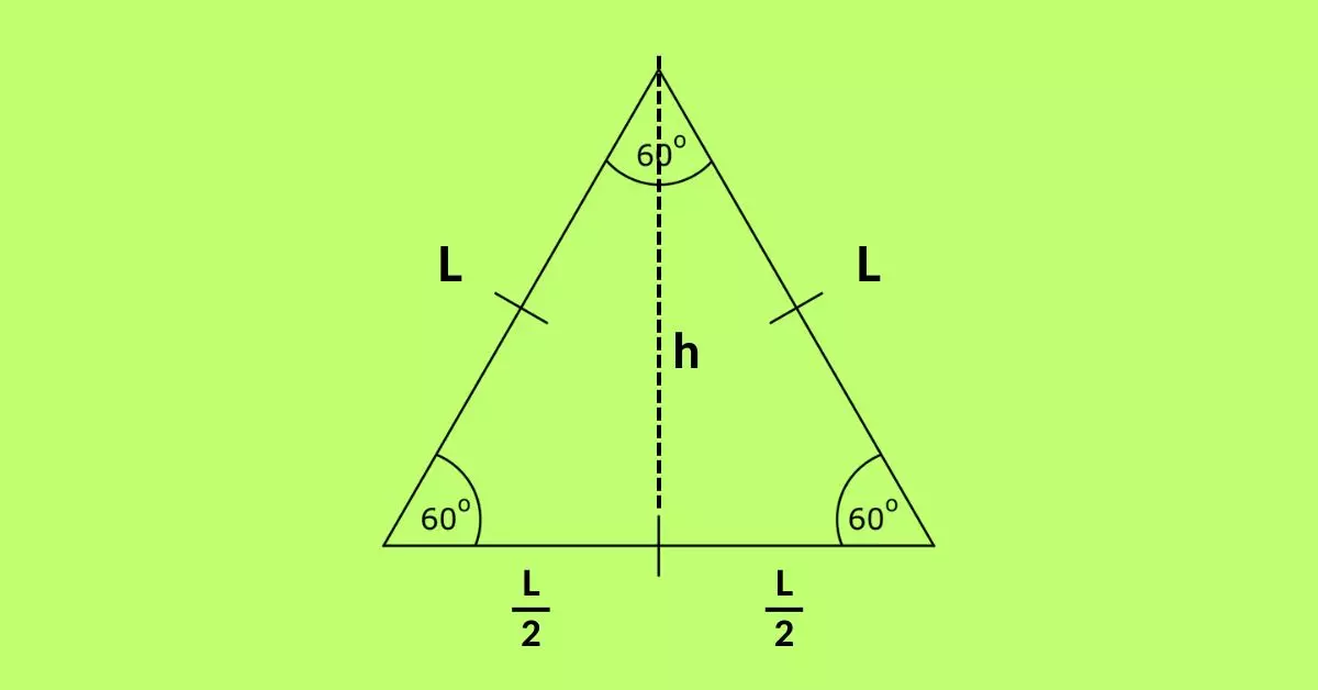 triângulo equilátero dividido em suas partes